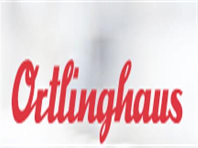 Ortlinghaus 0085-710-31-000000 压力安全阀